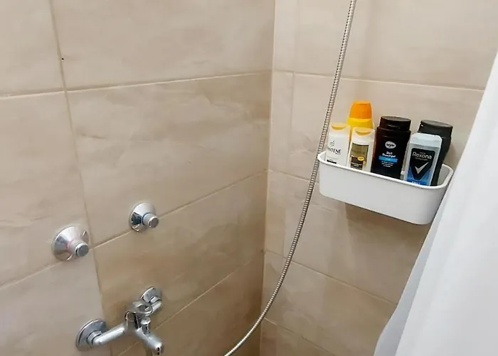 公寓 Delux Castle Buda Deluxe 布达佩斯