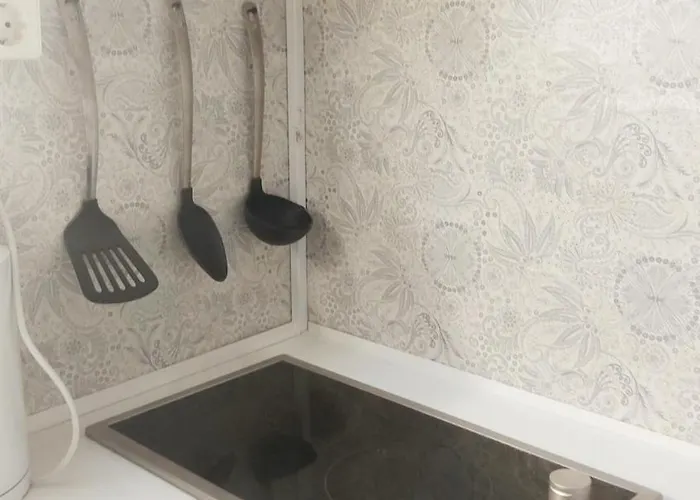 Delux Castle Buda Deluxe 公寓