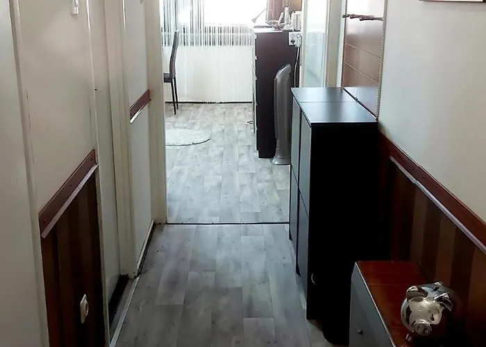 公寓 Delux Castle Buda Deluxe